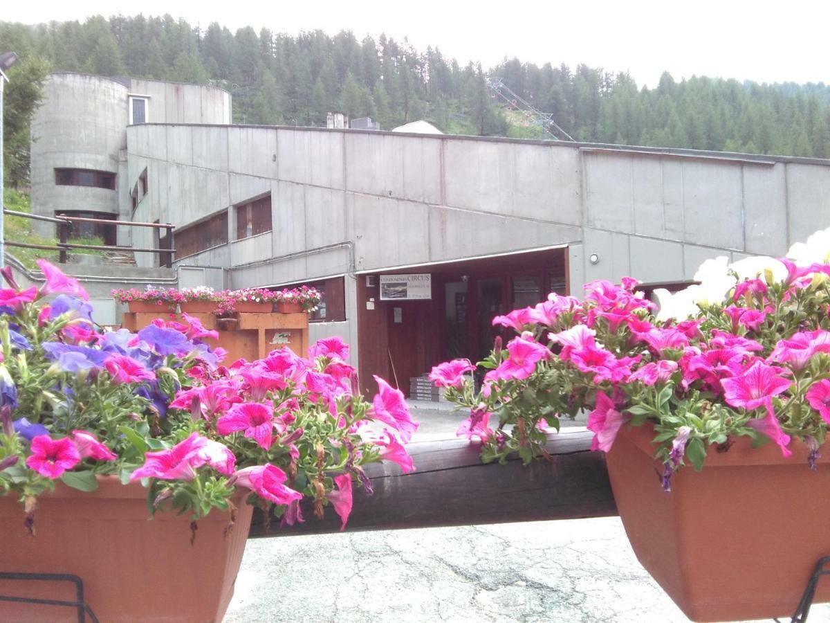 Soldanella Cervinia Apartment Vda Vacanze In Vetta Cir 0253 Breuil-Cervinia Exterior photo